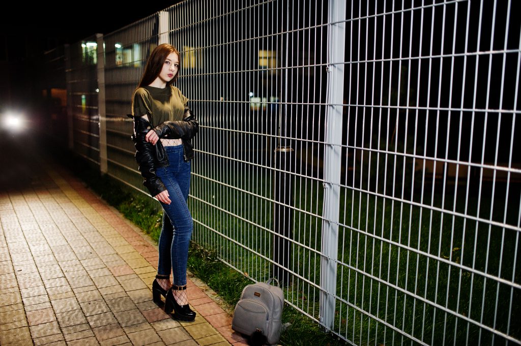 Napędy do bramy FAAC przy nowoczesnym ogrodzeniu posesji nocą